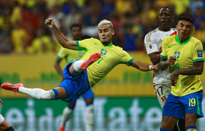 护球员的职 护球员的职