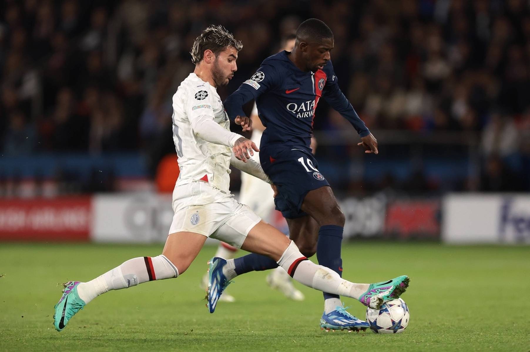 长草区的情 长草区的情