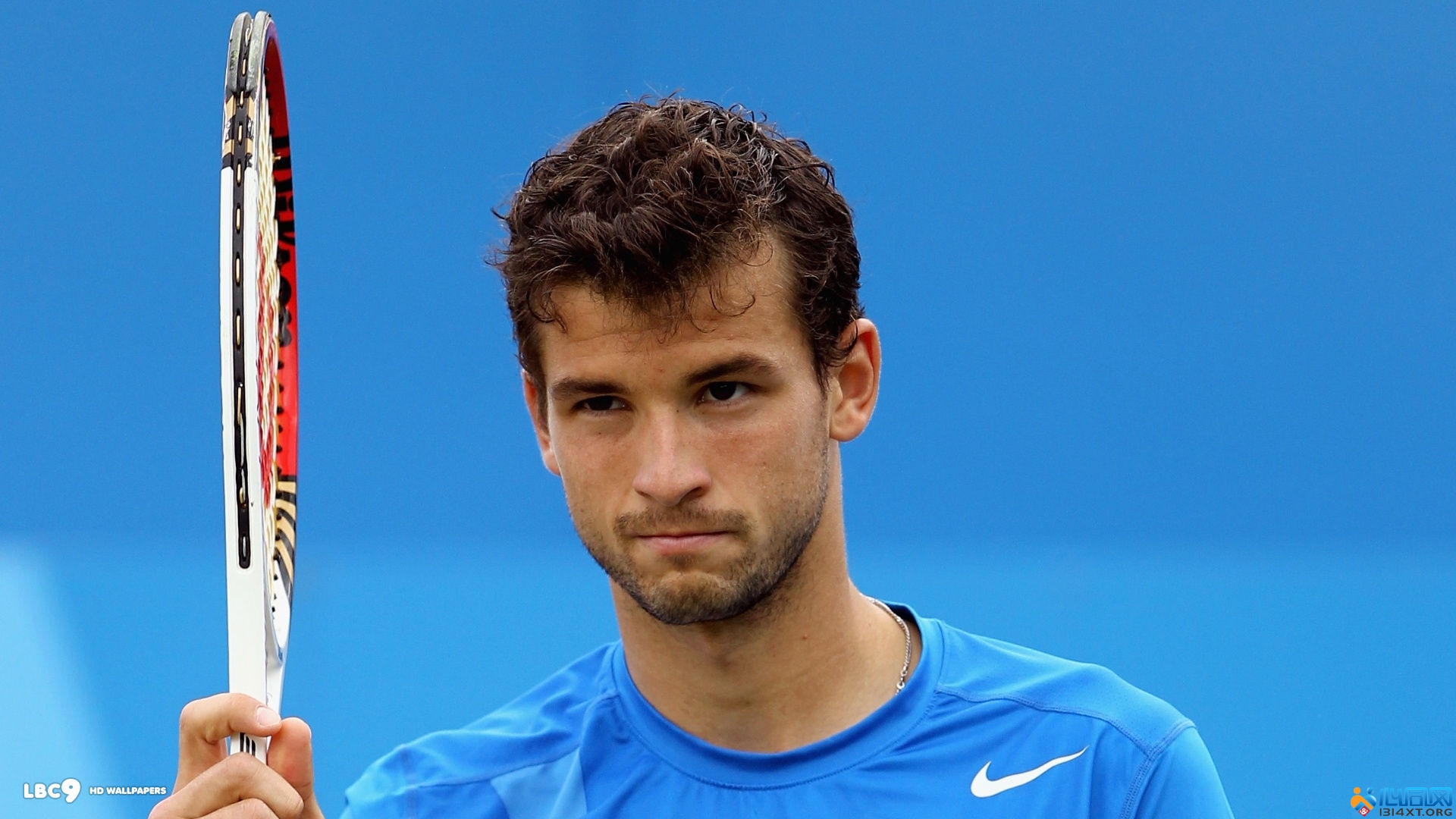 官方公示为 官方公示为